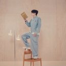 세터 타로 용안이 객관성을 만드는구나 이미지