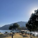 청풍황금송어 이미지