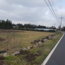 삼인공인중개사사무소 이미지