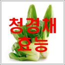 청경채 효능 이미지