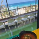 김밥을 맛보다 | 제주 애견동반 맛집 함덕 해녀김밥 본점 솔직 후기 | 방문 판단 기준 정리