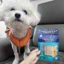 스타덴탈2 | [ 댕댕야시장 강아지덴탈껌 치석제거 양치 이갈이 간식 ] 덴탈껌 개껌 강아지간식 추천드려요~!