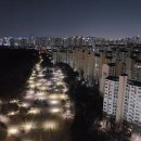 운정드림공인중개사사무소 네이버블로그