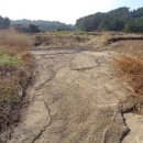 중문동-3 이미지