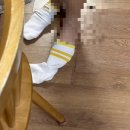 참약국(광명동물약국) | 국밥의 계절