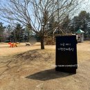 새마음목장 | 가평양떼목장 아이랑 방문 후기🐑 네이버 예매 꿀팁 + 먹이 체험+썰매까지