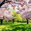 노블레스부천 | 노블레스 부천역점 | 부천 가성비 숙소, 솔직 후기