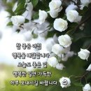 4월 17일 불금 ＜아내 시리즈＞ 이미지