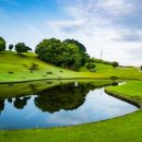 크로바 골프연습장 이미지