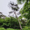 서원34호 네이버블로그