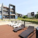 꾸스펜션 이미지