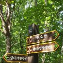 입장천 이미지