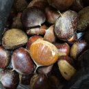 나포농장 이미지