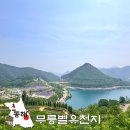파리바게뜨 동해천곡중앙점 | 강원도 6월 꽃 축제! 동해 무릉별유천지 라벤더축제 주차 입장료