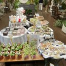 바다가있는풍경 | 정원과 바다가 있는 예쁜 카페[나문재] 후기