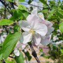 녹천교 화장실 이미지