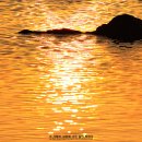 금빛바다 이미지