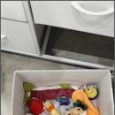 소중하개 이미지