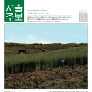 11-13 이미지