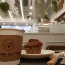 마리스커피 이미지