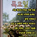 힐링 행복열차 출발~385 이미지