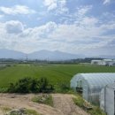 말랑카우하우스 이미지