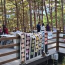 속초시박물관 이미지