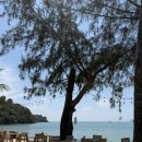 더코브 | [푸켓 맛집] 더 코브(The Cove Phuket) 후기🌴(판와부리 근처 맛집, 아오욘비치 레스토랑, 푸켓 허니문...