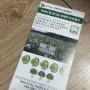 원재농장 | 맑은농장 양배추브로콜리 맛있을까?