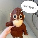 우탄