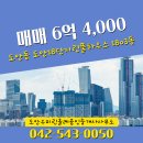 올레부동산공인중개사사무소 이미지