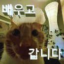 줄래노래바
