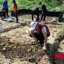 행복농장 이미지