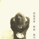 베가(VEGA) 이미지