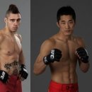 UFC 105 : 댄 하디 VS. 김동현 웰터급 매치 추가 이미지