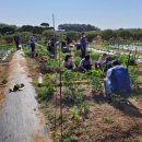 도시농업전문가 과정 이미지