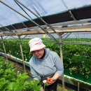 문종농장 이미지