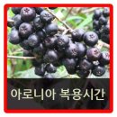 엠엠에프