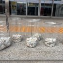 납부필증(칩) 이미지