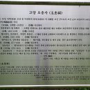 오충사 이미지