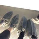 별II당구장 | 디뮤지엄, 아홉개의 빛 아홉개의 감성 후기