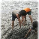 임진체육관 이미지