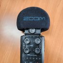 Zoom H6 녹음기 포맷 후 삭제된 파일 복원 성공 사례