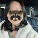 레나헤어(Rena Hair) | 킨텍스 미용실, 단발머리 펌,중단발 레이어드 C컬펌 솔직 후기, [무튼헤어]