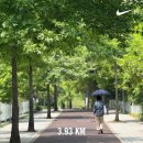 상우슈퍼 | 6월 🍅 월간현느