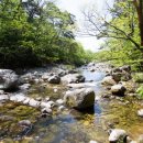 화이트하우스 펜션 이미지