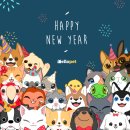 헬로펫 이미지
