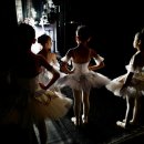 유아 발레1 이미지