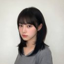 로이드밤대구 이미지