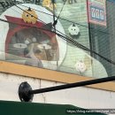 망고 애견 | 홍대 연남 일본식 라멘맛집 히루마 내돈내산 후기 (애견동반 / 강아지 망고)